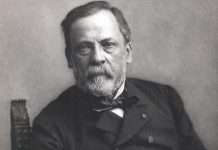 REVISTA ENÓLOGOS - TARTRATO DEL VINO - LOUIS PASTEUR - MIGUEL POCOVÍ - QUILARIDAD MOLECULAR