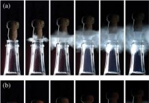 VINOS ESPUMOSOS - MIGUEL POCOVÍ - REVISTA ENÓLOGOS - MISTERIOS DE LAS BURBUJAS - EFECTOS DEL GAS EN LOS VINOS ESPUMOSOS