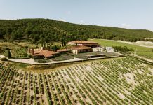 SOGRAPE - ENTRECANALES DOMECQ E HIJOS - MILLA DE ORO DE RIBERA DEL DUERO - REVISTA ENÓLOGOS