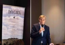 REVISTA ENÓLOGOS - DO CAVA - RÉCORD HISTÓRICO - JAVIER PAGÉS