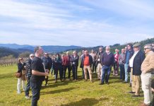 REVISTA ENÓLOGOS – BODEGAS GORKA IZAGUIRRE - DO BIZKAIKO TXAKOLINA-TXAKOLI DE VIZCAYA