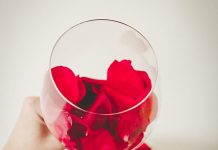 REVISTA ENÓLOGOS - EXPORTACIÓN DE VINO, VINO A GRANEL, VINO ENVASADO