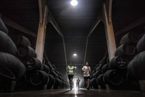 REVISTA ENÓLOGOS – SHERRY MARATÓN - MARCOS DE JEREZ - MOUNTAIN BIKE - RUNNING