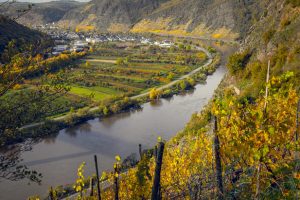 REVISTA ENÓLOGOS – OIVE – ORGANIZACIÓN INTERPROFESIOANL DEL VINO DE ESPAÑA - COMERCIO MUNDIAL DE VINO 2024