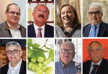 REVISTA ENÓLOGOS – ASOCIACIÓN DE ENÓLOGOS DE CSTILLA-LA MANCHA – AECM – COLEGIO OFICIAL DE ENOLOGÍA DE CASTILLA-LA MANCHA – COECM – LUIS FERNÁNDEZ – ALFONSO GARCÍA CÁMARA – MILAGROS ROMERO TORRES – VICENTE SÁNCHEZ-MIGALLÓN – LUIS JIMÉNEZ – FRUCTUOSO LÓPEZ VAQUERO