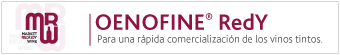 Banner 2