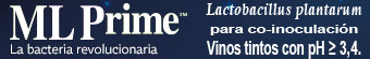 Banner 1
