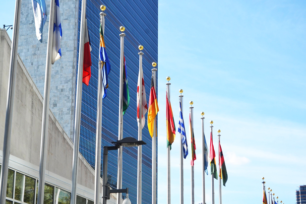 REVISTA ENÓLOGOS – PATRONAL EUROPEA DEL VINO – COMITÉ EUROPEO DE EMPRESAS VITIVINÍCOLAS – CEEV – ONU – NACIONES UNIDAS – NUEVA YORK – CONSUMO MODERADO DE VINO – CONSUMO NOCIVO DE ALCOHOL