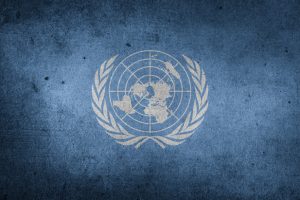 REVISTA ENÓLOGOS – PATRONAL EUROPEA DEL VINO – COMITÉ EUROPEO DE EMPRESAS VITIVINÍCOLAS – CEEV – ONU – NACIONES UNIDAS – NUEVA YORK – CONSUMO MODERADO DE VINO – CONSUMO NOCIVO DE ALCOHOL