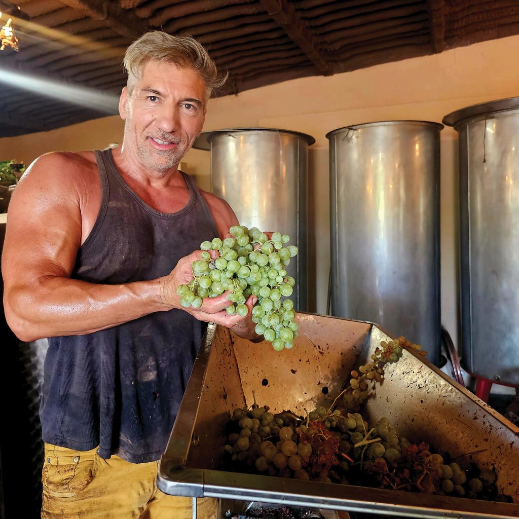 REVISTA ENÓLOGOS – JORDI ROTLLAN – PRIORAT – PENEDÉS – MONTSANT – ALKIMIA WINES -