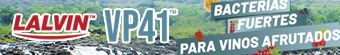 Banner 1