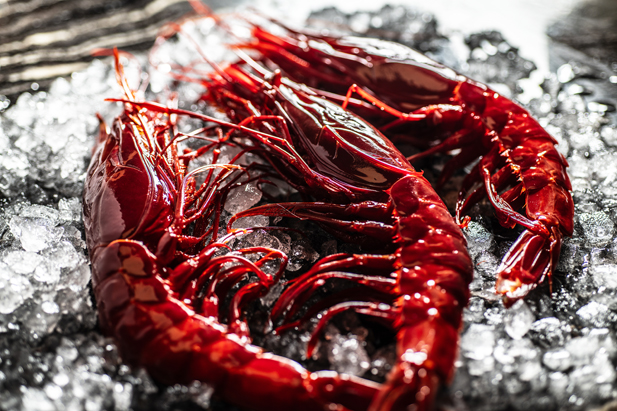 REVISTA ENÓLOGOS – CLUB METRÓPOLIS – SOFISTICADO – BUENA VIDA – MARTA SECO - LÁZARO ROSA-VIOLÁN - SANDRO SILVA – GRUPO PARAGUAS – EL AFRTE DE LA BUENA VIA – REFLEJO DEL ESPLENDOR DE MADRID - @Mariano