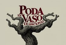 REVISTA ENÓLOGOS – JOSÉ HIDALGO TOGORES – PODA EN VASO TRADICIONAL – MARCIAL PONS EDICIONES – VIÑEDO CONDUCIDO EN FORMAS LIBRES BAJAS – CEPA EN VASO LALUCA COMUNICACIÓN