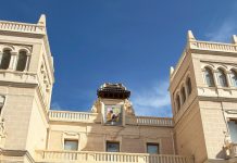 REVISTA ENÓLOGOS – MARQ – MUSEO ARQUEOLÓGICO DE ALICANTE – JOSÉ LUIS MENÉNDEZ – ELADIO MARTÍN – CRDOP ALICANTE – VINO – ARQUEOLOGÍA – HISTORIA – HUMANIDAD