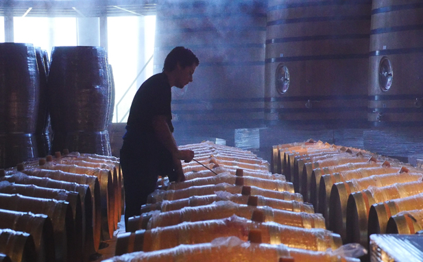 REVISTA ENÓLOGOS – EKINSA – BARRICAS – LIMPIEZA – HIGIENIZACIÓN - BRETTANOMYCES BRUXELLENSIS - CASTEJÓN 