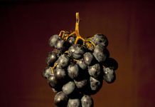 REVISTA ENÓLOGOS – FIVIN- CONSUMO MODERADO DE VINO – CARDIOSALUDABLE – MENOR MORTALIDAD – DR. RAMÓN ESTRCUH – DR. MIGUEL ÁNGEL MARTÍNEZ GONZÁLEZ
