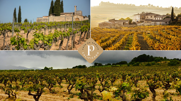 REVISTA ENÓLOGOS - DO CAVA - CAVAS DE GUARDA SUPERIOR DE PARAJE CALIFICADO - JAVIER PAGÉS