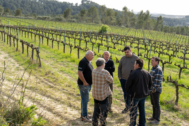 ASOCIACIÓN DE VITICULTORES DEL PENEDÈS – DO CAVA – VILAFRANCA DEL PENEDÈS – REVISTA ENÓLOGOS - TITULAR: JOAN COLOMER FORTUNY (LLORENÇ DEL PENEDÈS)
SUPLENTE: JOSEP ANTON VENDRELL INGLÉS (SUBIRATS)