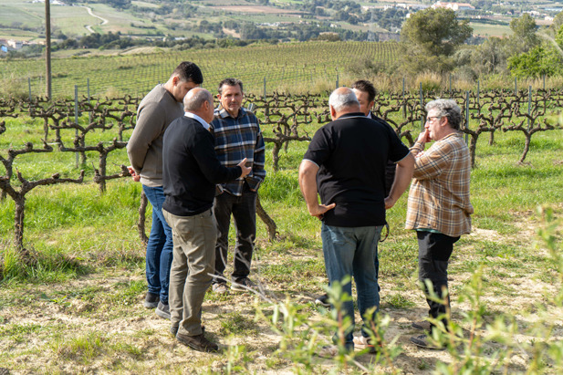 ASOCIACIÓN DE VITICULTORES DEL PENEDÈS – DO CAVA – VILAFRANCA DEL PENEDÈS – REVISTA ENÓLOGOS - TITULAR: JOAN COLOMER FORTUNY (LLORENÇ DEL PENEDÈS)
SUPLENTE: JOSEP ANTON VENDRELL INGLÉS (SUBIRATS)