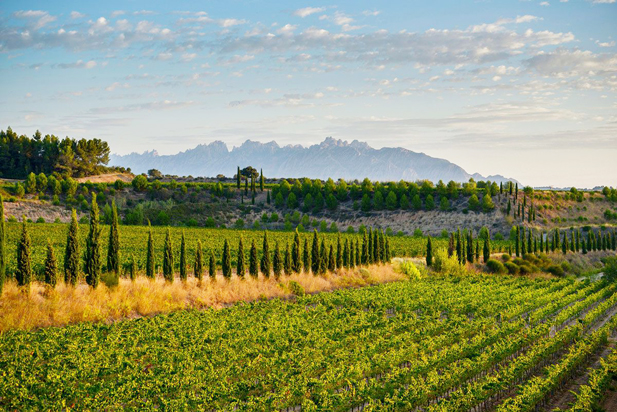 REVISTA ENÓLOGOS – DO CAVA – JUVÉ & CAMPS, SANT SADURNÍ D’ANOIA – VILAFRANCA DEL PENEDÈS – CATALUÑA – COMARCA DEL PENEDÈS – BARCELONA –JAVIER PAGÉS – JOAN JUVÉ – MERITXELL JUVÉ – ESPIELLS – CELLER KRIPTA