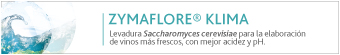 Banner 3
