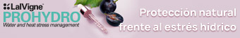 Banner 1