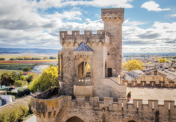 REVISTA ENÓLOGOS – ASOCIACIÓN ENÓLOGSO DE RIOJA – AER – OLITE – SAN MARTÍN DE UNX – DO NAVARRA – ASADOR CASA EL PREBOSTE – BODEGAS OCHOA – BODEGA MÁXIMO ABETE – PALACIO REAL DE OLITE