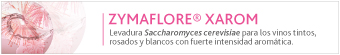 Banner 2