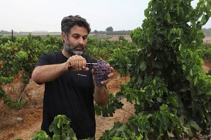 REVISTA ENÓLOGOS – DESIERTO DEL NEGEV – ISRAEL - CONSORCIO DE VINOS DEL NEGEV LA FUNDACIÓN MERAGE ISRAEL Y LA FUNDACIÓN HISPANOJUDÍA - KIRYAT GAT – EILAT – CHAMPAGNE –BURDEOS – CHIANTI – RIOJA - RIBERA DEL DUERO - NAPA VALLEY – MILAGRO DEL NEVEV