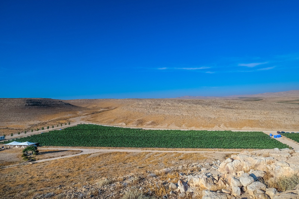 REVISTA ENÓLOGOS – DESIERTO DEL NEGEV – ISRAEL - CONSORCIO DE VINOS DEL NEGEV LA FUNDACIÓN MERAGE ISRAEL Y LA FUNDACIÓN HISPANOJUDÍA - KIRYAT GAT – EILAT – CHAMPAGNE –BURDEOS – CHIANTI – RIOJA - RIBERA DEL DUERO - NAPA VALLEY – MILAGRO DEL NEVEV