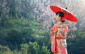 REVISTA ENÓLOGOS – JAPÓN – IMPORTACIONES – ORGANIZACIÓN INTERPROFESIONAL DEL VINO DE ESPAÑA (OIVE)