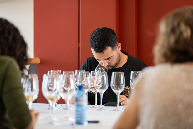 REVISTA ENÓLOGOS –DO TERRA ALTA – GARNACHA BLANCA – CARACTERIZACIÓN – VITEC – GRACTI – GANDESA