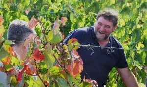 REVISTA ENÓLOGOS – JUAN CARLOS SANCHA – ARPROVI – AGRUPACIÓN RIOJANA PARA EL PROGRESO DE LA VITICULTURA – CENTRO DE LA CULTURA DEL RIOJA – OFERTA Y DEMANDA – DESEQUILIBRIO ESTRUCTURAL