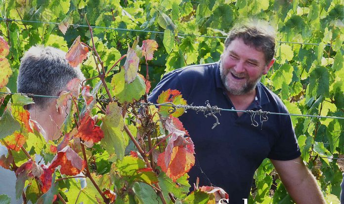 REVISTA ENÓLOGOS – JUAN CARLOS SANCHA – ARPROVI – AGRUPACIÓN RIOJANA PARA EL PROGRESO DE LA VITICULTURA – CENTRO DE LA CULTURA DEL RIOJA – OFERTA Y DEMANDA – DESEQUILIBRIO ESTRUCTURAL