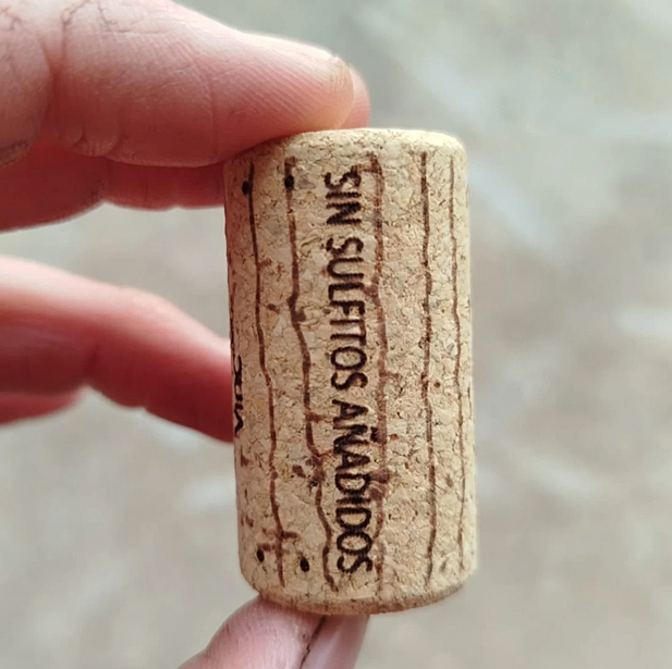 REVISTA ENÓLOGOS – TREE FLOWERS SOLUTIONS – REDUCCIÓN DE SULFITOS – GRANDES DESAFÍOS DE LA ENOLOGÍA MODERNA – PACO TURIEL – CHESTWINE - BODEGAS BAGORDI - ORTEGA EZQUERRO - BODEGAS MAZUELA – VINOS SIN SULFITOS
