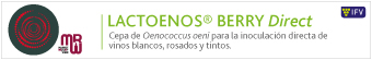 Banner 2