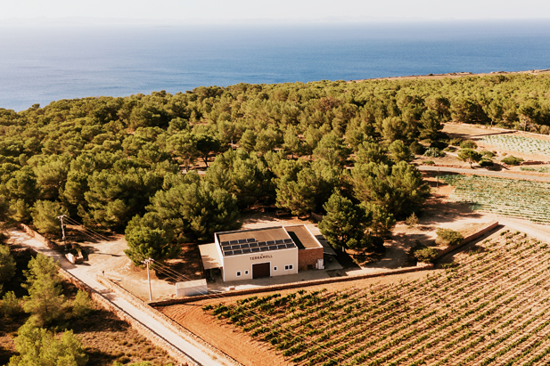 BODEGA TERRAMOLL – REVISTA ENÓLOGOS – ARCHIPIÉLAGO BALEAR – VENDIMIA EN LAS ISLAS BALEARES - VINTAE