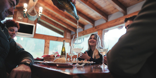 REVISTA ENÓLOGOS – GRUPO AGROVIN – WINE IN MODERATION – PLATAFORMA TECNOLÓGICA DEL VINO (PTV) – VENDIMIA 2026 – DISFRUTAR EL VINO