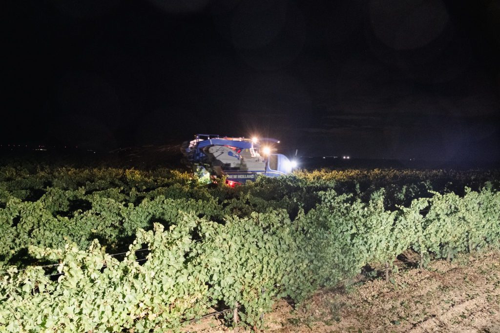REVISTA ENÓLOGOS - ORO DE CASTILLA – VENDIMIA TEMPRANA –SAUVIGNON BLANC – VERDEJO —DO RUEDA