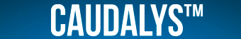 Banner 2
